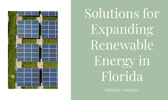 Expanding Renewable Energy in Florida