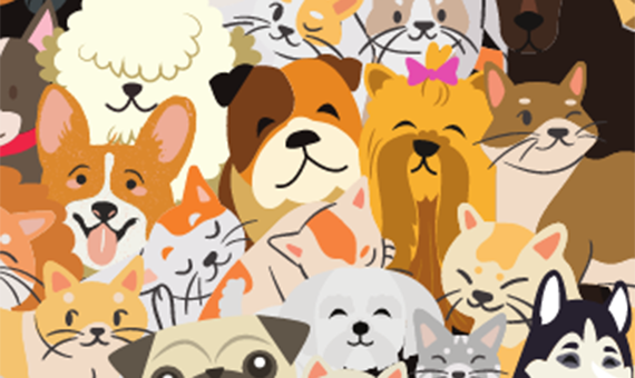 Claws and Effect: finding strategies for increasing pet adoption