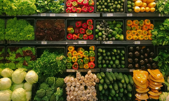 Socioeconomic Predictors of Food Access in Colorado