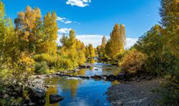 Micro-level Solutions for the Colorado Water Plan