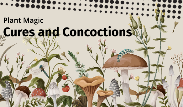 Promotional image for homepage headline: Plant Magic: Cures and Concoctions