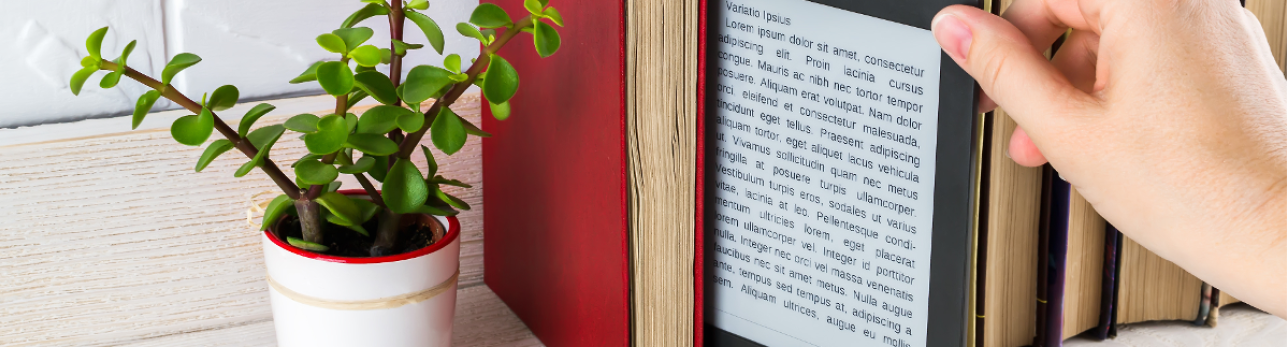  A person holds an open book with a small plant nestled within its pages, symbolizing the connection between nature and literature.