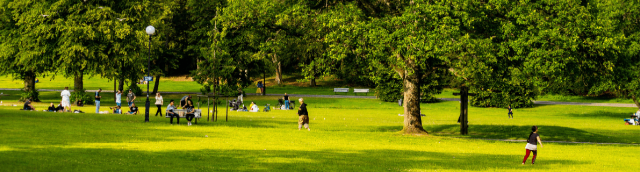 People enjoying the park on a sunny day