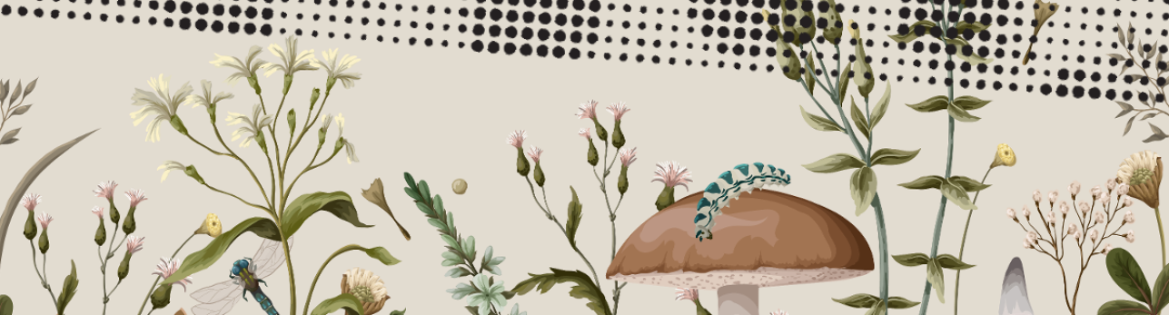 Plant Magic: Cures and Concoctions Illustration of assorted wildflowers and plants with a mushroom and a blue dragonfly in the foreground, set against a dotted, abstract background.