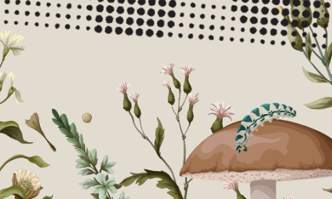 Illustration of assorted wildflowers and plants with a mushroom and a blue dragonfly in the foreground, set against a dotted, abstract background.