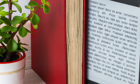 A person holds an open book with a small plant nestled inside, symbolizing the connection between nature and knowledge.