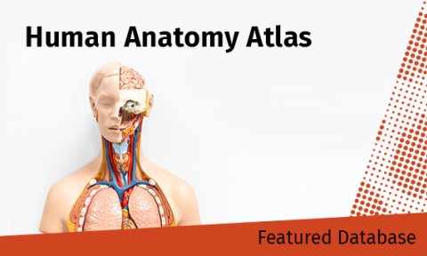 Featured Database - Human Anatomy Atlas from Visible Body