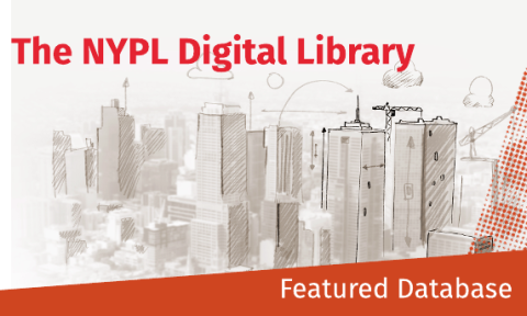 An overview of the NYPI Digital Library, showcasing its extensive collection of digital resources and user-friendly interface.