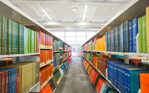 long shelves of books