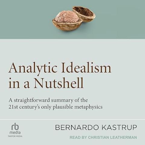 A concise summary of analytic idealism, highlighting key concepts from the 2nd century in a clear and straightforward manner