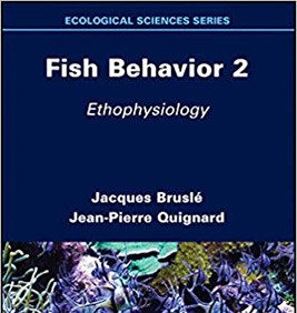 Fish Behavior 2