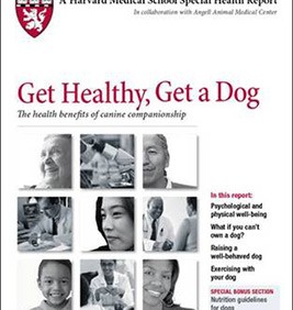 Get Healthy, Get a Dog