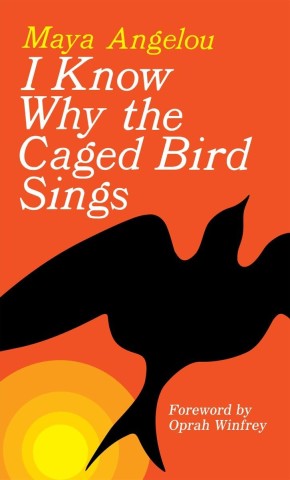 A caged bird perched quietly, symbolizing confinement and the longing for freedom, inspired by the phrase "I know why the caged bird sings