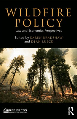 Wildfire policy: law and economics perspectives
