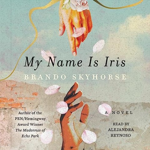 My Name Is Iris: A Novel 