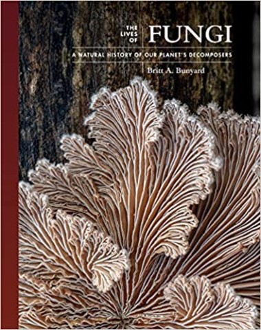 Lives of Fungi: A Natural History of Our Planet's Decomposers