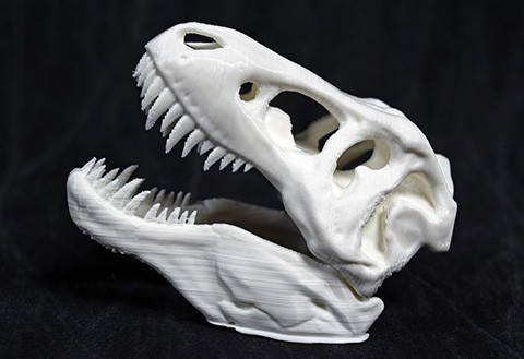 T-Rex Skull printed on a 3D printer