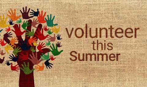 Volunteer this Summer