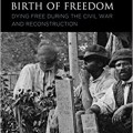 African Americans, Death, and the New Birth of Freedom: Dying Free during the Civil War and Reconstruction (New Studies in Southern History) 