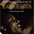 From #BlackLivesMatter to Black Liberation