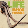 A collection of 100 fossils showcasing the diverse history of life on Earth through various geological periods