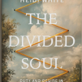 Cover of "The Divided Soul" by Heidi White, featuring a sky with clouds and trees. An orange zigzag pattern overlays the text, adding dynamic contrast.