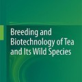 Breeding and Biotechnology of Tea