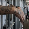 Man with Tattoos hanging arms over prison cell bars
