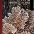 Lives of Fungi: A Natural History of Our Planet's Decomposers