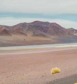 Desert Portraits: Tales from the Altiplano