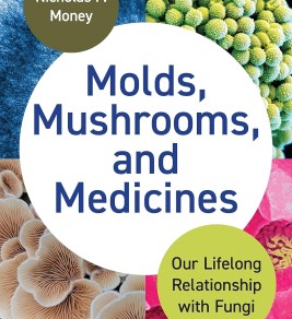 Molds, Mushrooms, and Medicines: Our Lifelong Relationship with Fungi Book cover of "Molds, Mushrooms, and Medicines." Features colorful fungi images around a central white circle with the title. Scientific and engaging.