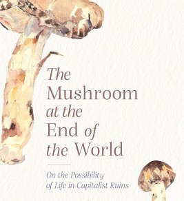 The Mushroom at the End of the World: On the Possibility of Life in Capitalist Ruins Cover of "The Mushroom at the End of the World" by Anna Lowenhaupt Tsing. Features watercolor mushrooms and text on a white background, evoking a thoughtful tone.