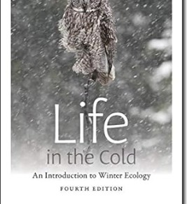 Life in the cold : an introduction to winter ecology